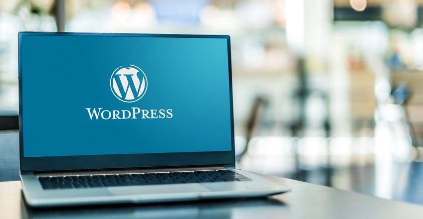 Pay Monthly WordPress Websites